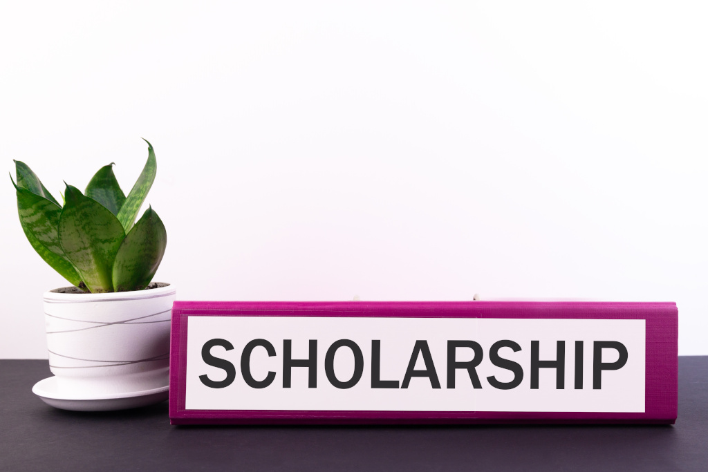 A red notebook labeled on the spine with the word Scholarship in black font on a white sticker sits on a grey table with a fern succulent in a white pot and saucer to the left against a white background. A light green frame surrounds the image.