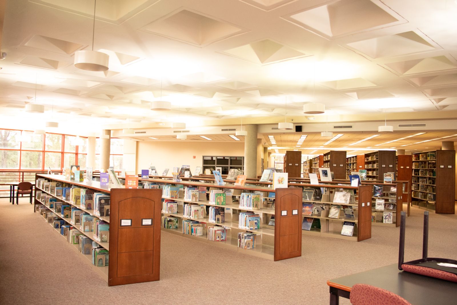 The children's book section of the library with rows of higher reading level books in the background. 